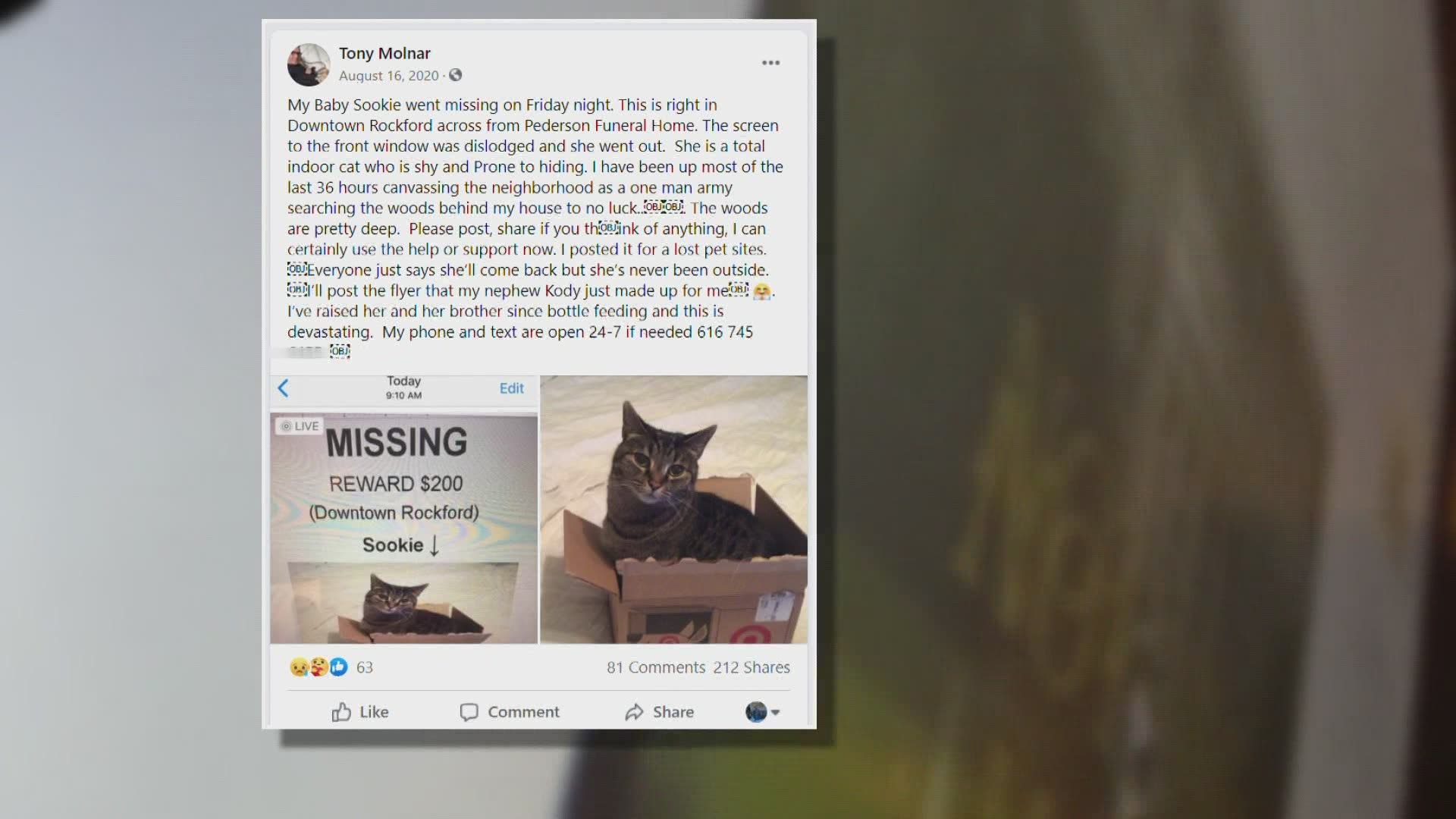 Sookie the cat escaped from Tony Molnar's Rockford home in August 2020. Five months later, the cat was found, thanks to an online community never giving up.