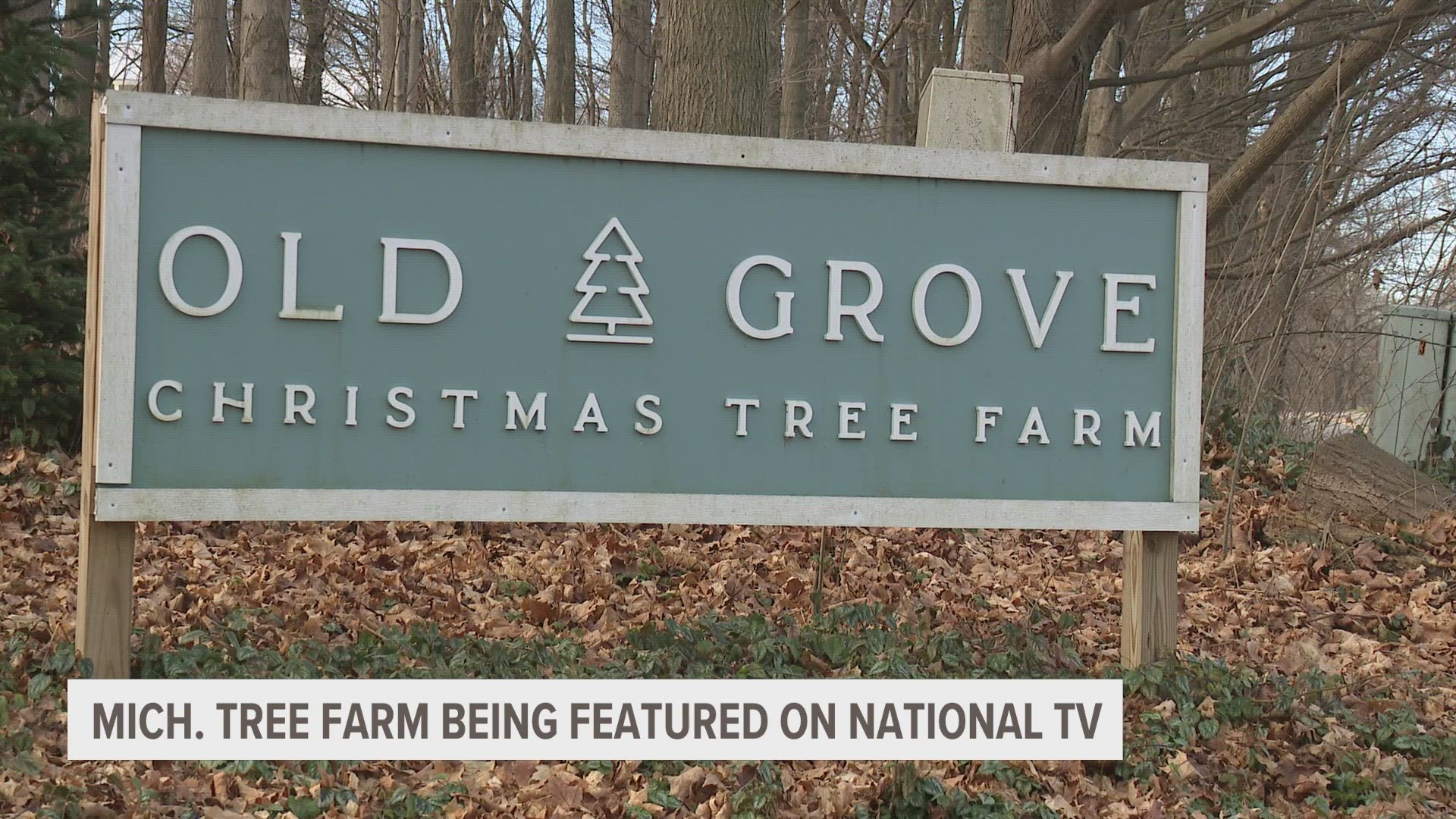 Old Groves Christmas Tree Farm will be featured on The America Dream!