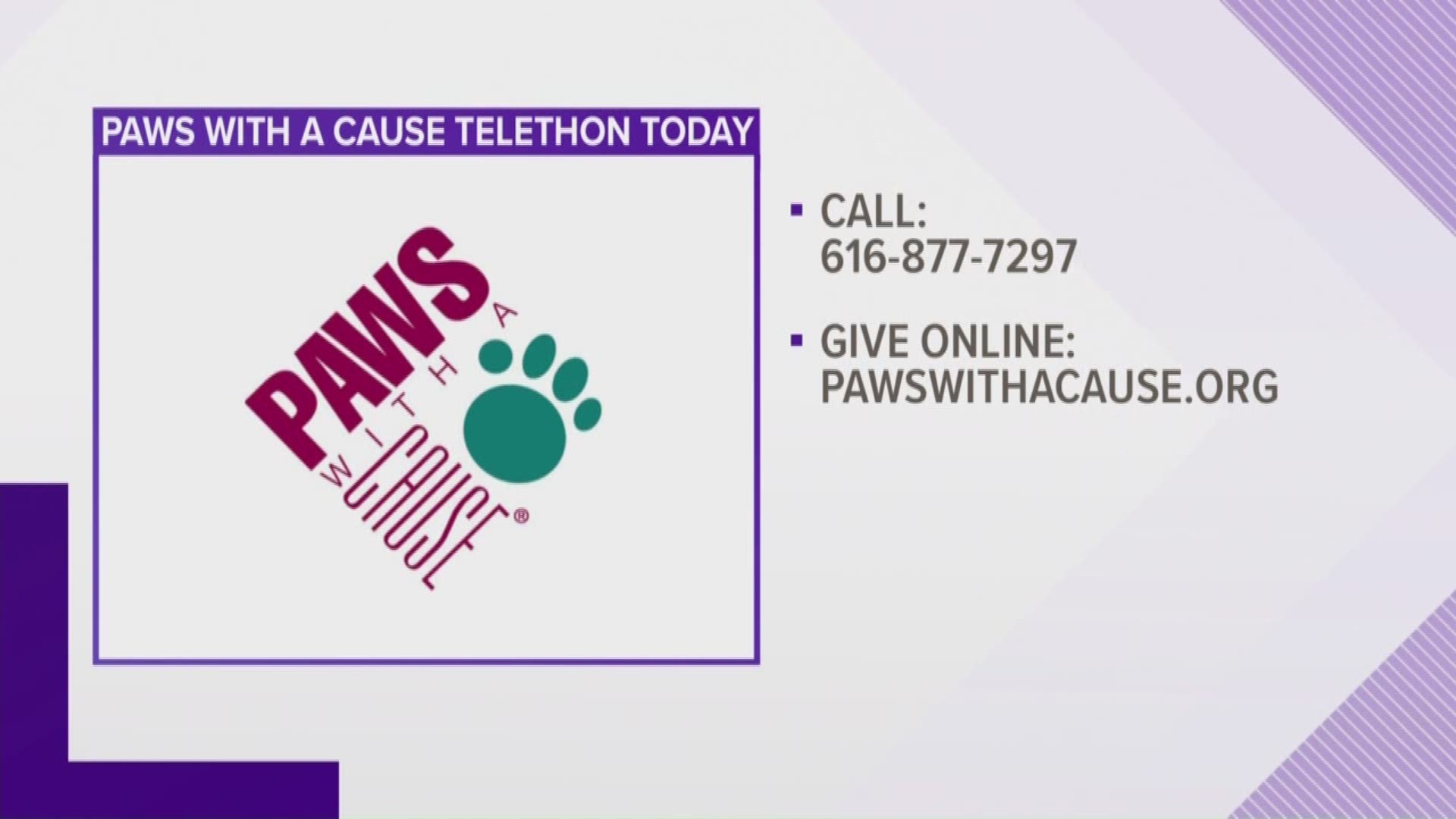 Paws With a Cause Telethon