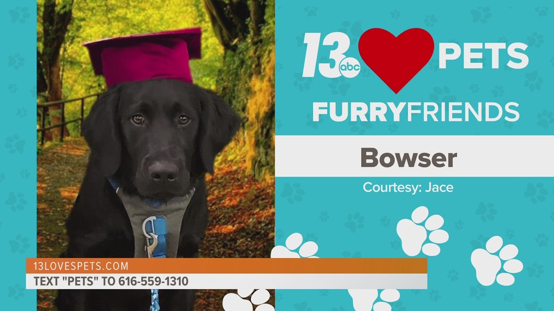 Furry Friends:  June 1, 2022 | Bowser, Charley Boy, and Harper