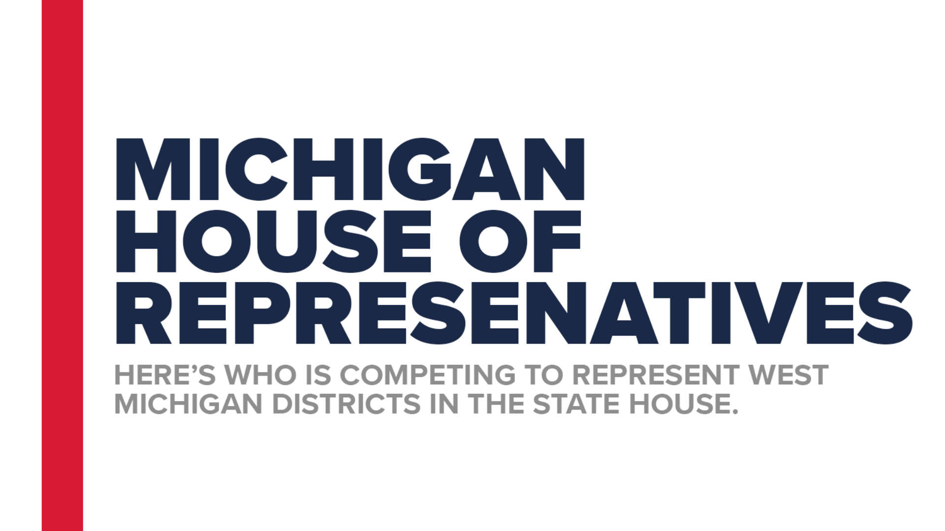 Who is running for the Michigan House of Representatives?