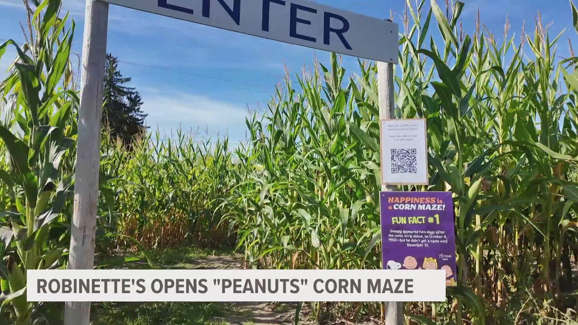 As West Michiganders start looking toward fall, Robinette's is ready with their iconic corn maze, apples and other sweet treats.