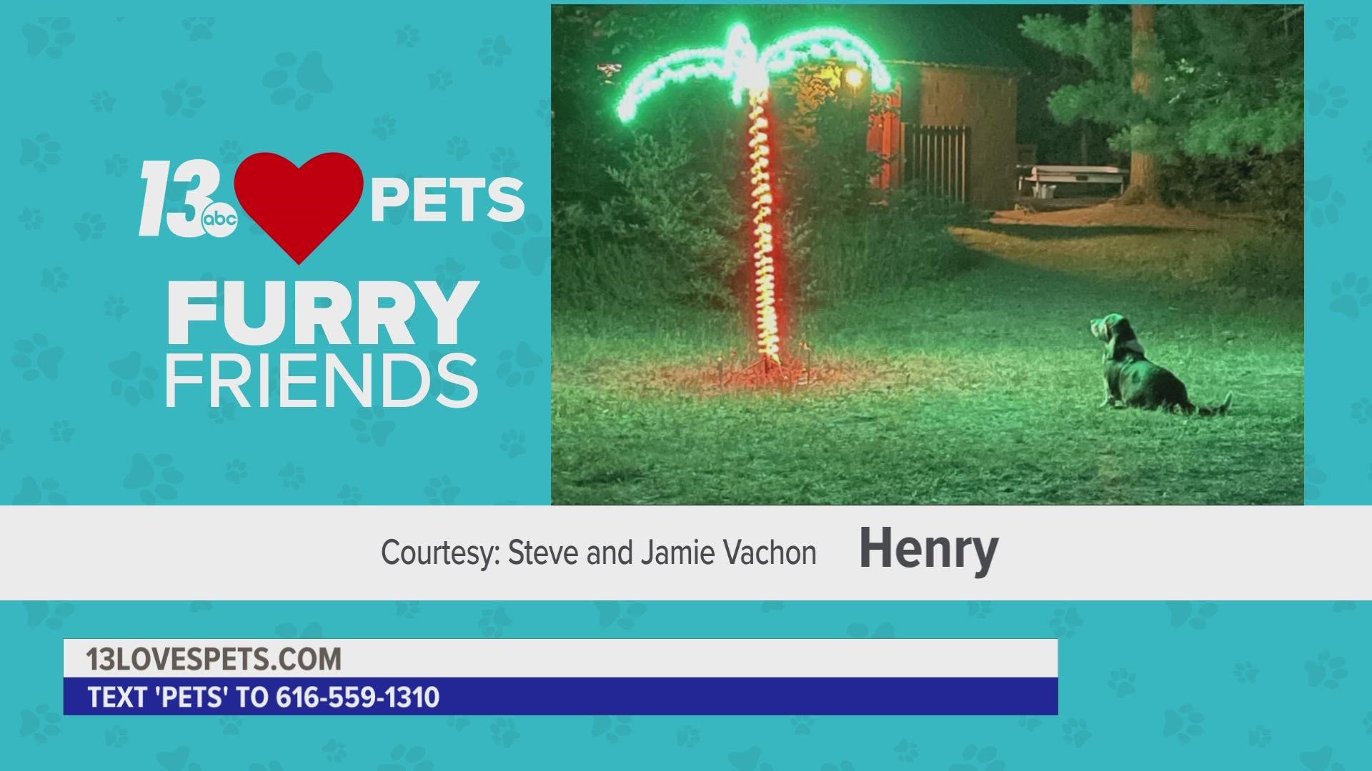 13 LOVES PETS!