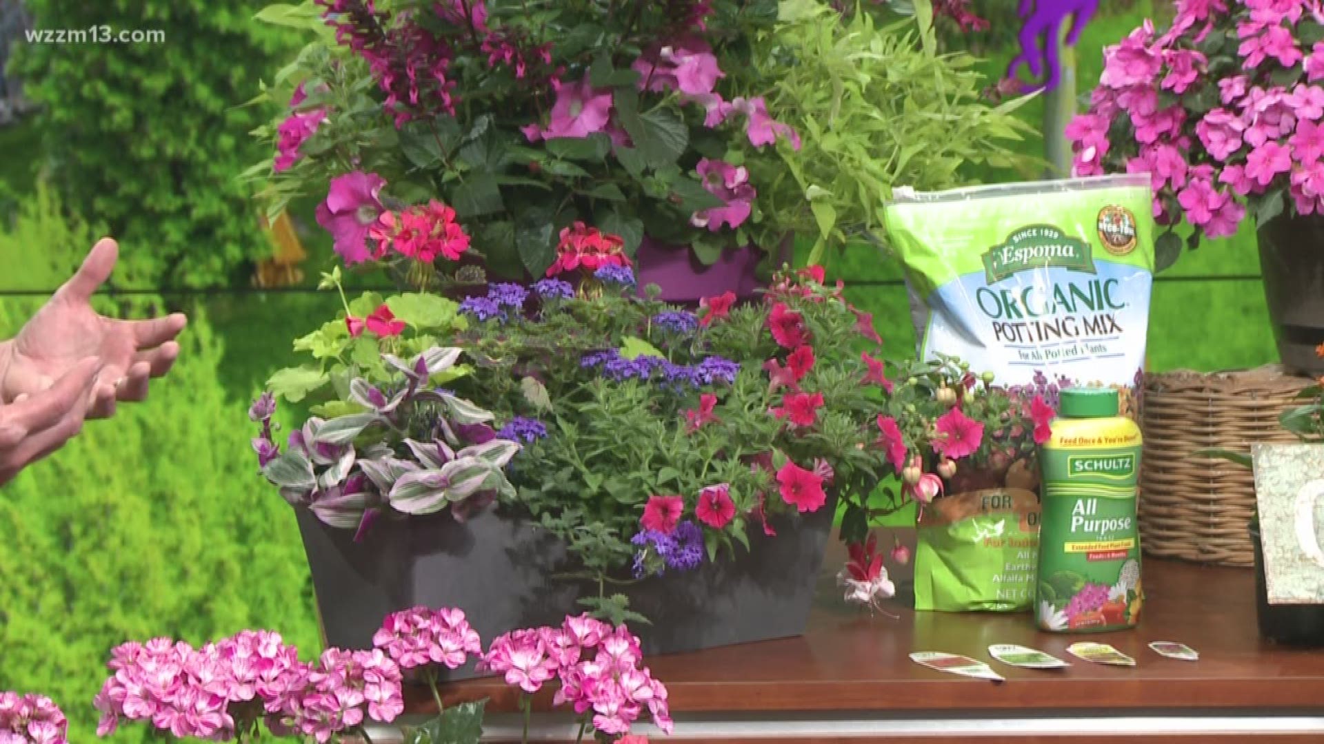 Gardening might seem like a difficult challenge, but with the right tools and knowledge, anyone can be successful. Even if you don't have a yard to work in, everyone can garden. Bill Bird, a successful gardener and employee at Jonkers Garden, shares some of the things that help him be successful when it comes to container gardening.