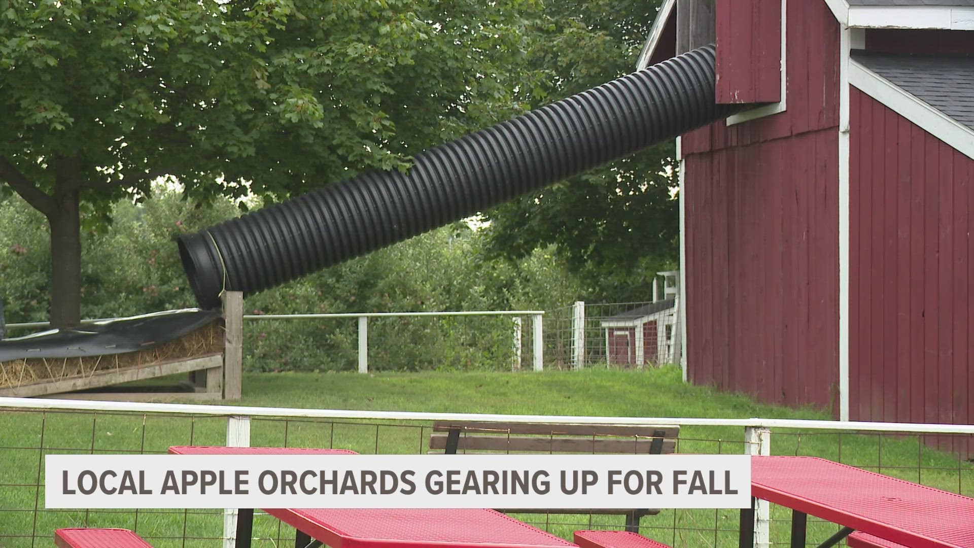 Schwallier's Country Basket opened Monday, Aug. 14 for the season.