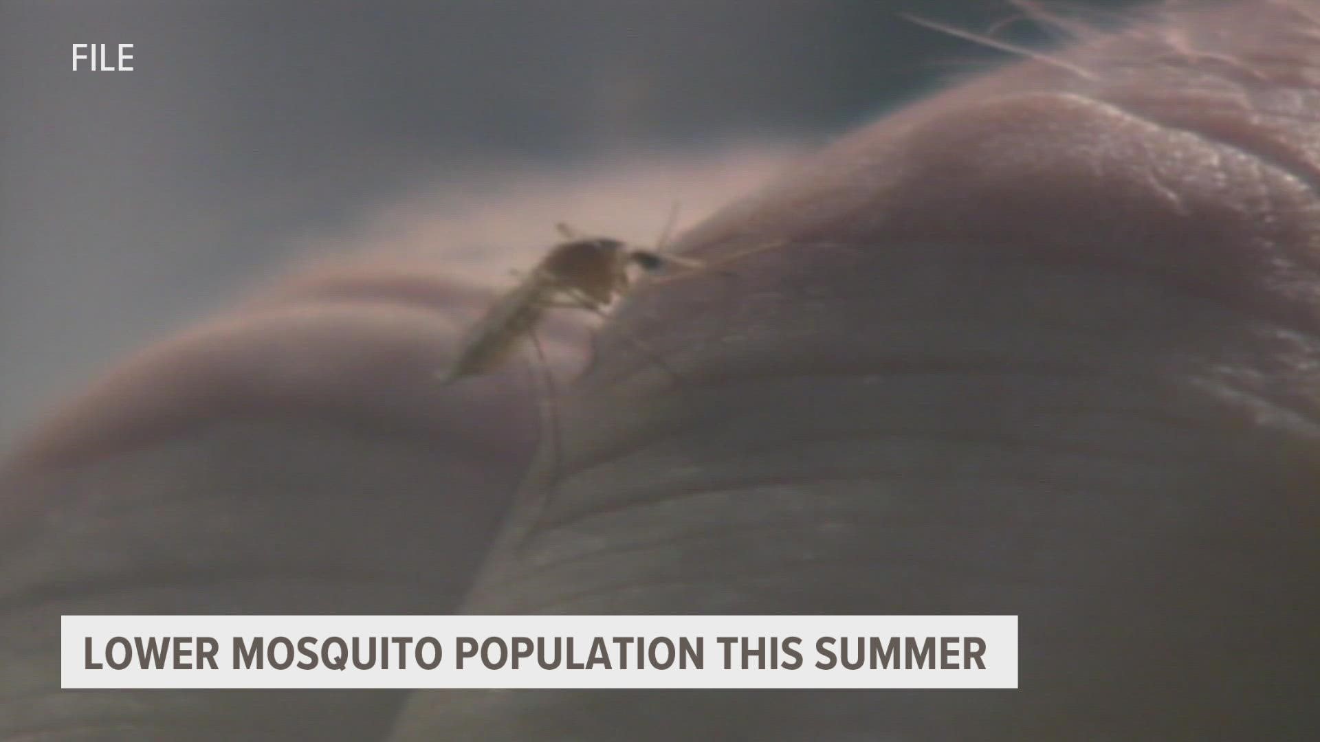 If you're noticing you don't have as many mosquito bites this summer, there's a reason.