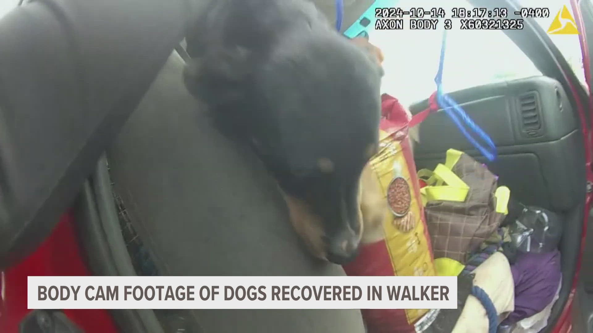 On October 14, someone called 911 concerned about the dogs in the truck outside a Dollar Tree in Walker. 