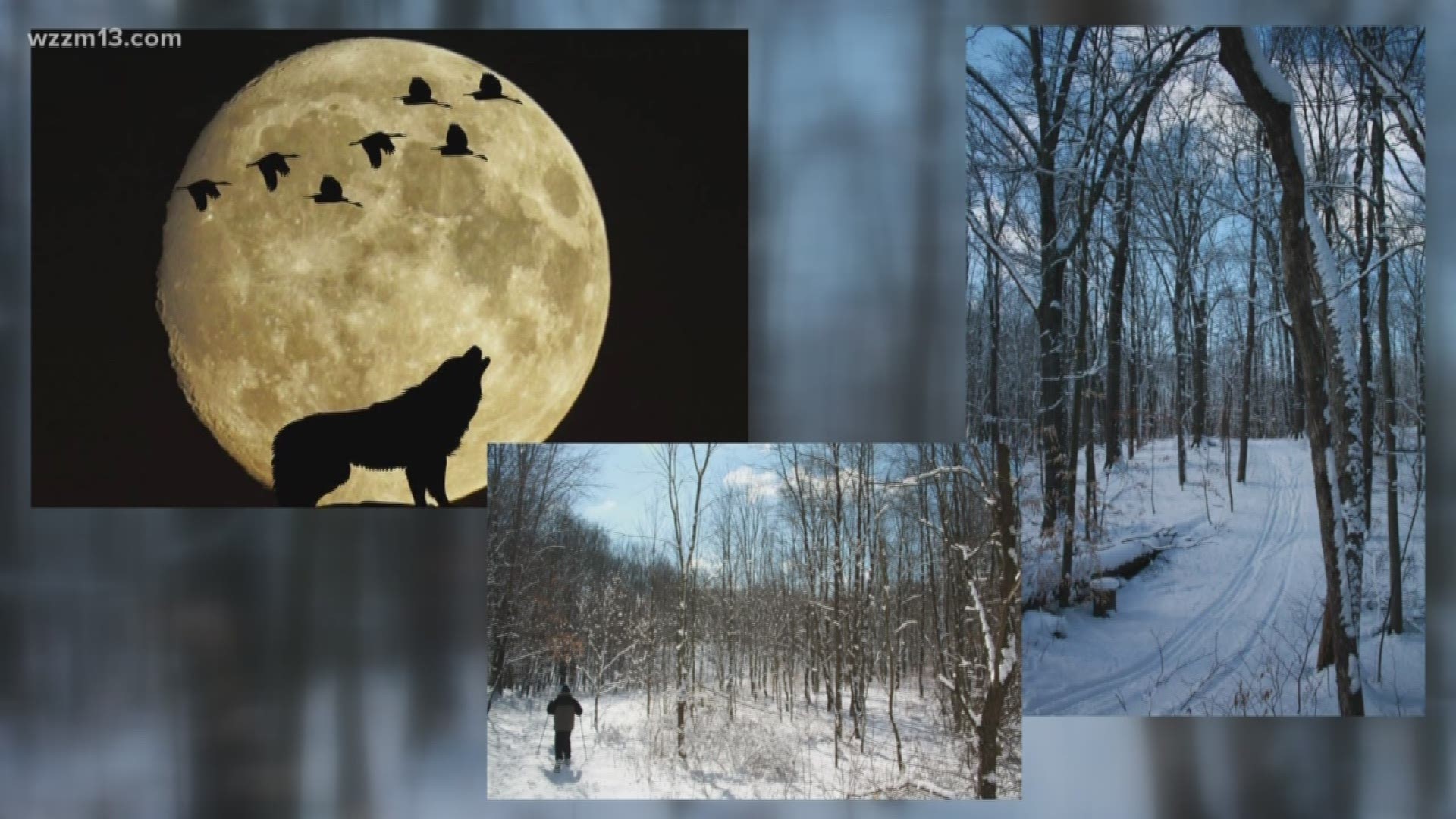 January Events in West Michigan