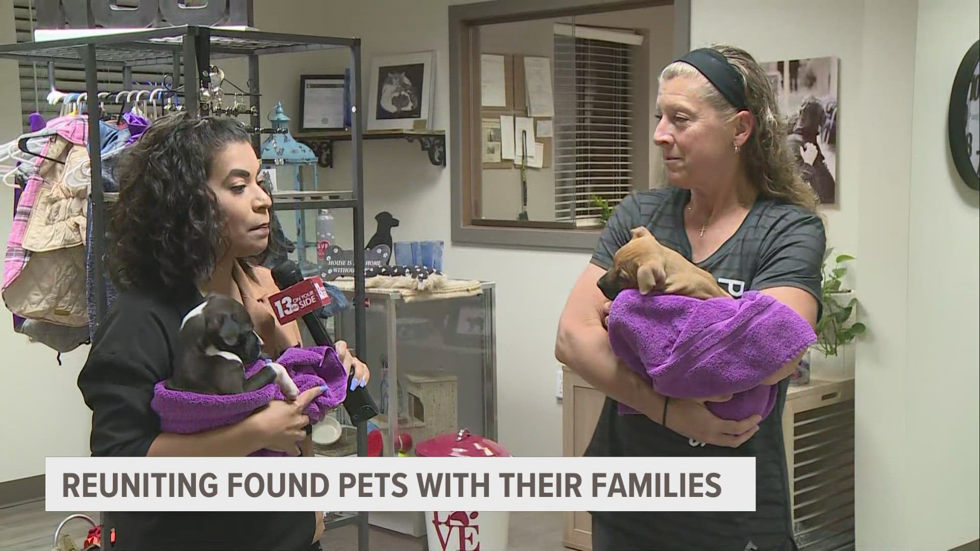 The days after the Fourth of July are usually busy for animal shelters as stray intake spikes. Here's how you can help reunite lost pets with their families.