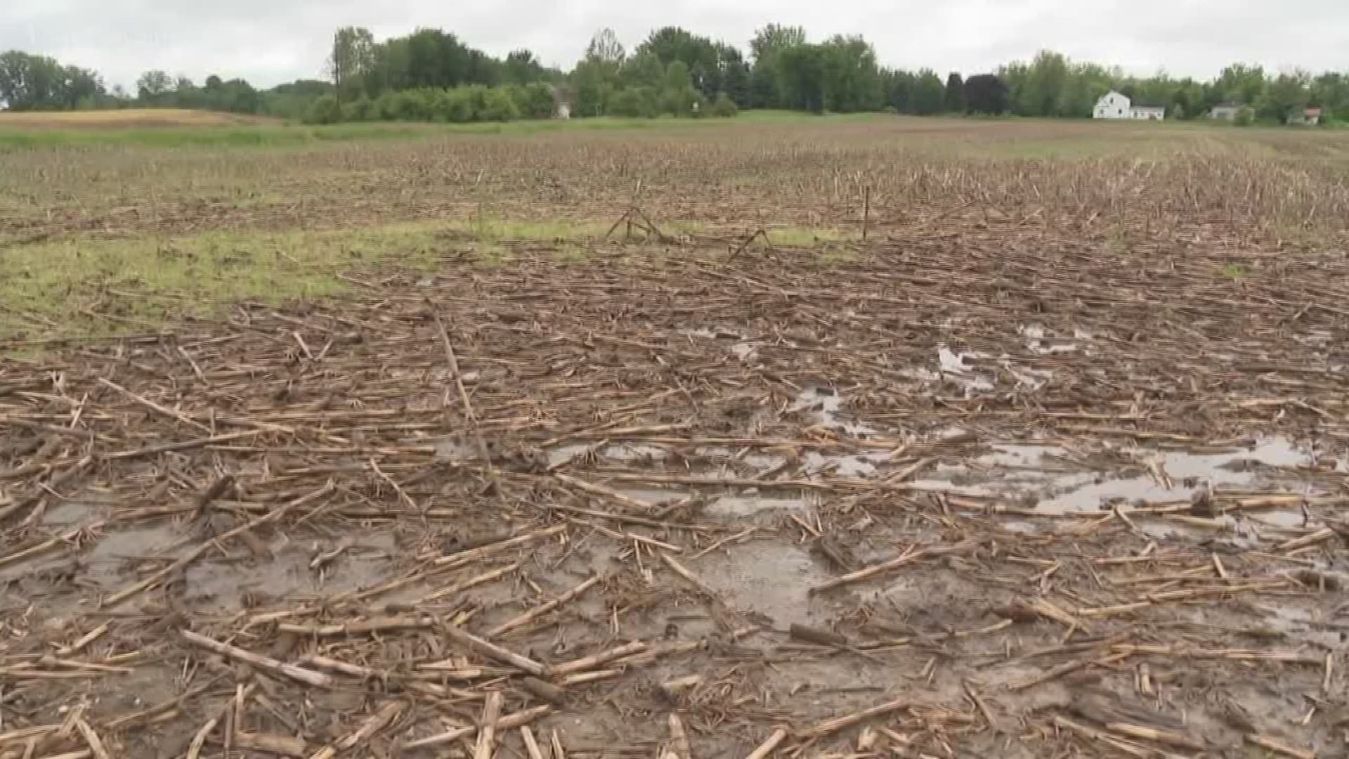 As of June 9, farmers in Michigan only had 3.5 days this year to do fieldwork.