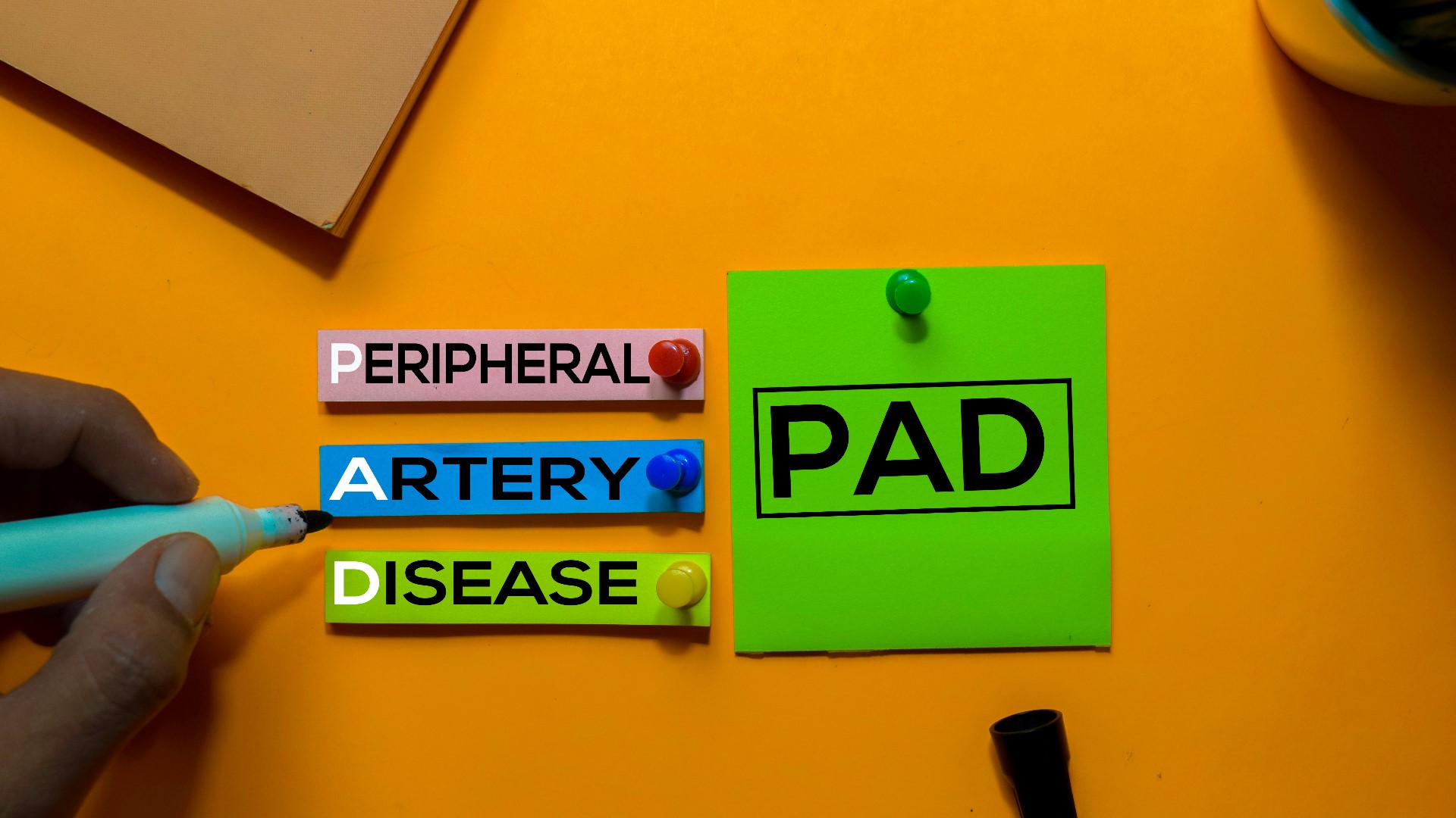 Chronic circulatory condition known as PAD affects nearly 20 million Americans.