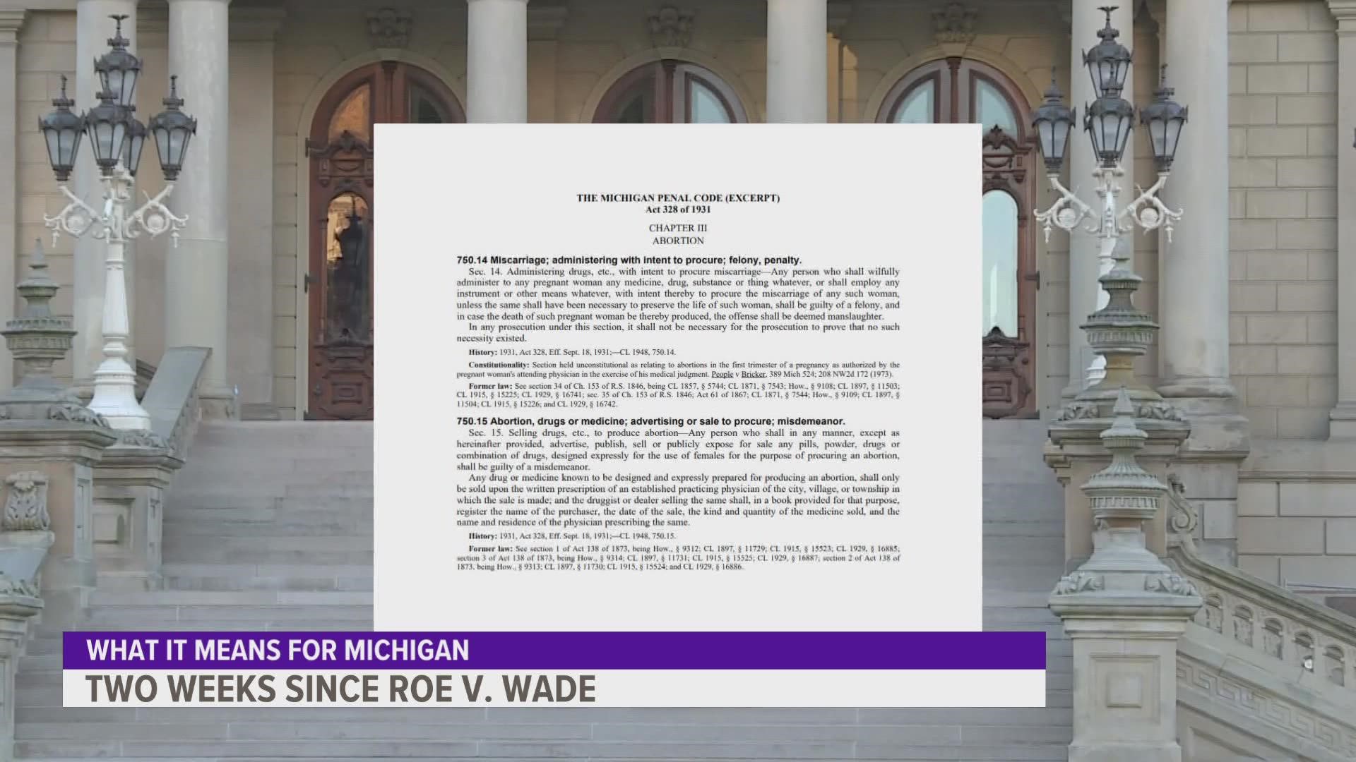 Two weeks after the Supreme Court overturned  Roe vs. Wade, we're taking another look at what this means for Michiganders.