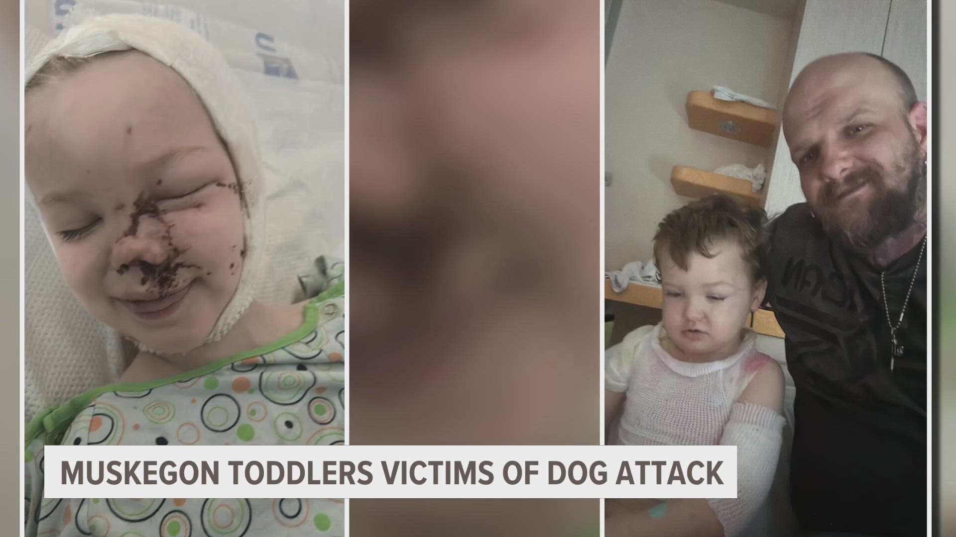 A relative was babysitting the two boys when two Staffordshire Terriers attacked them, the father said. 