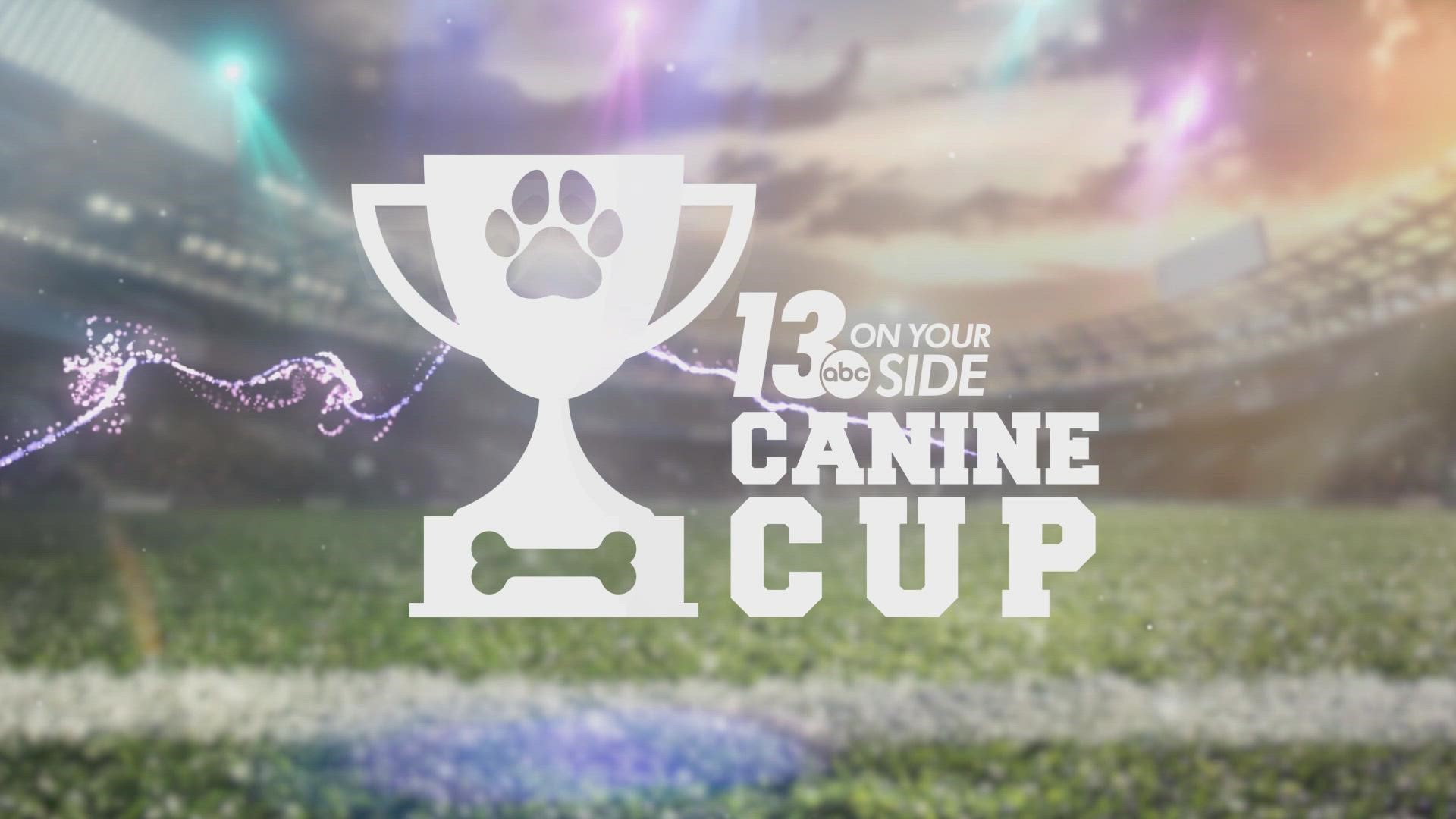 It's back again! The 13 ON YOUR SIDE Canine Cup returns. This time, the Los Angeles Rascals take on the Cincinnati Bone Crushers.