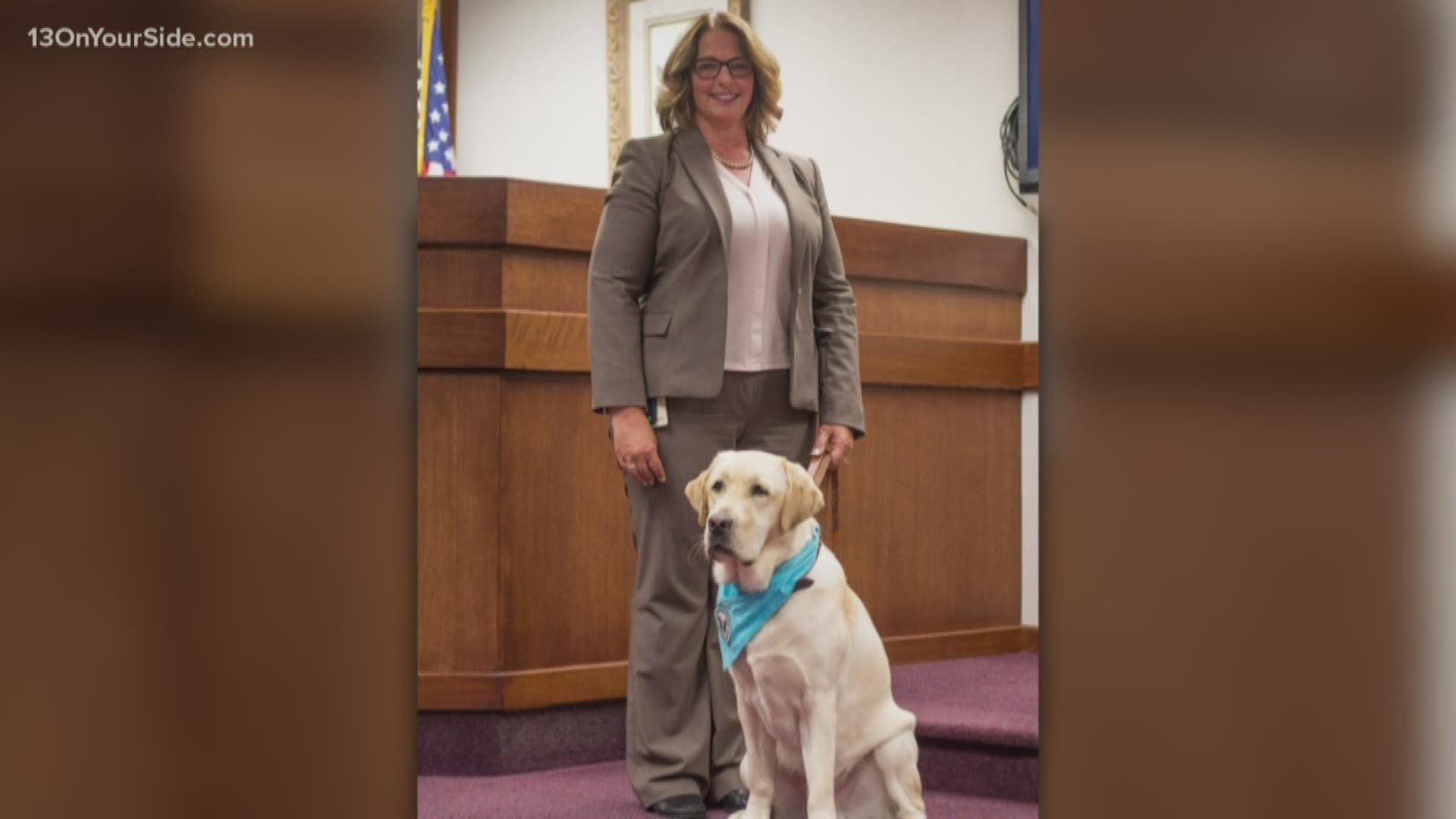 The 20-month-old Labrador Retriever will provide a valuable and much-needed service to child victims in Allegan County, said Prosecuting Attorney  Myrene K. Koch.