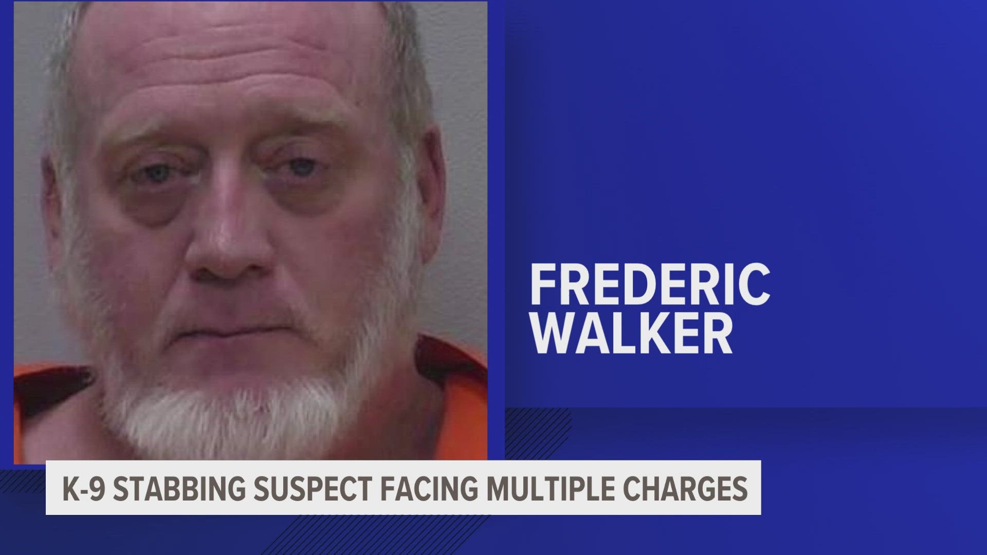 Frederic Allen Walker is facing multiple charges, including second-degree criminal sexual conduct, home invasion and two counts of assault with a dangerous weapon.