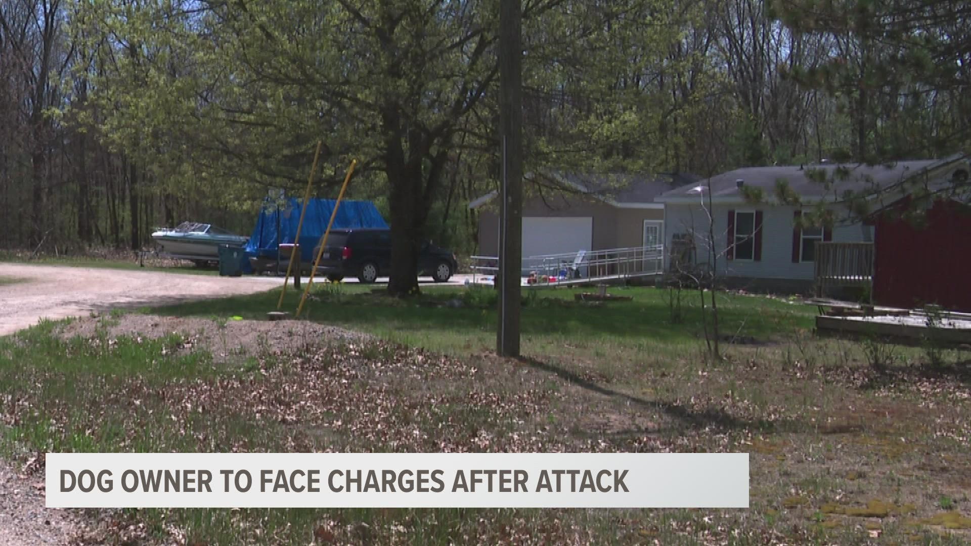 The mother of the 5-year-old says he suffered many bad gashes to his neck, face and head after two dogs attacked him Thursday. The two dogs have been euthanized.