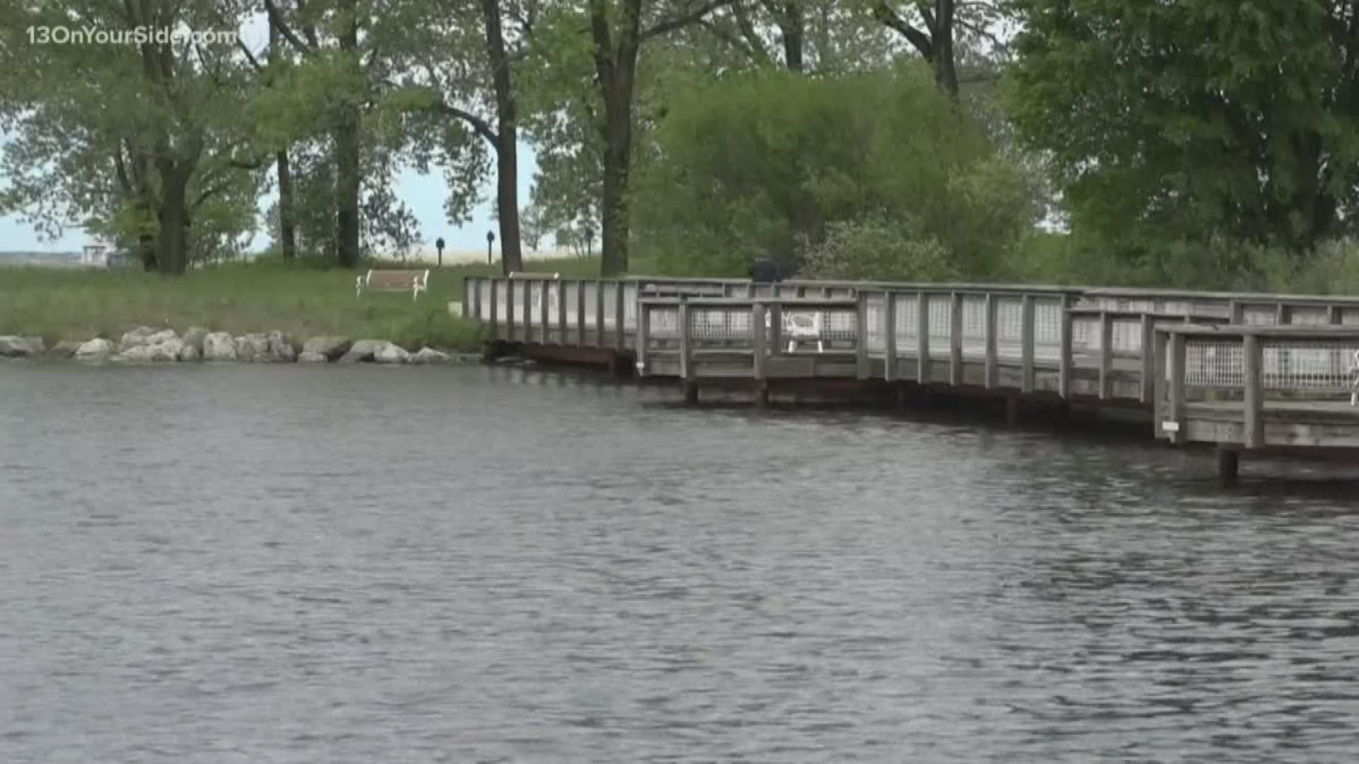 Testing in three Michigan waterways, the Kalamazoo  River, Spring Lake or Lake Macatawa, has turned up no trace of Asian carp that have damaged the environment and economy in other parts of the U.S.