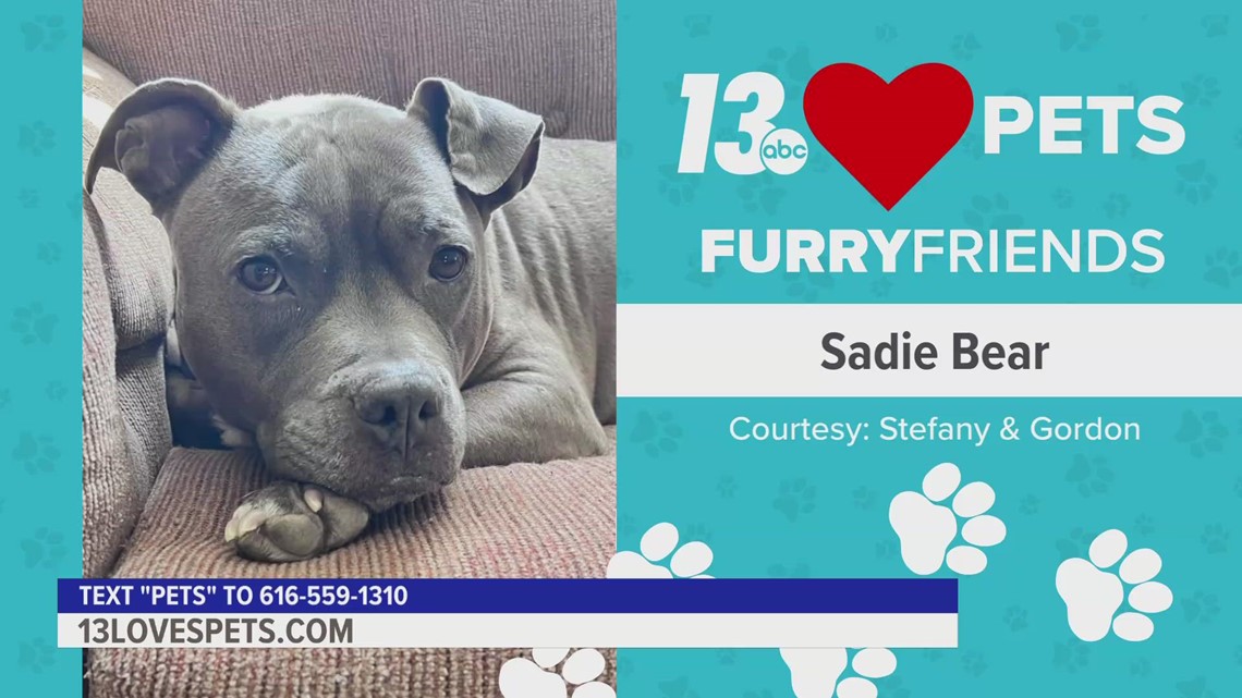 Furry Friends:  February 3, 2023 | Sadie Bear and Lulu