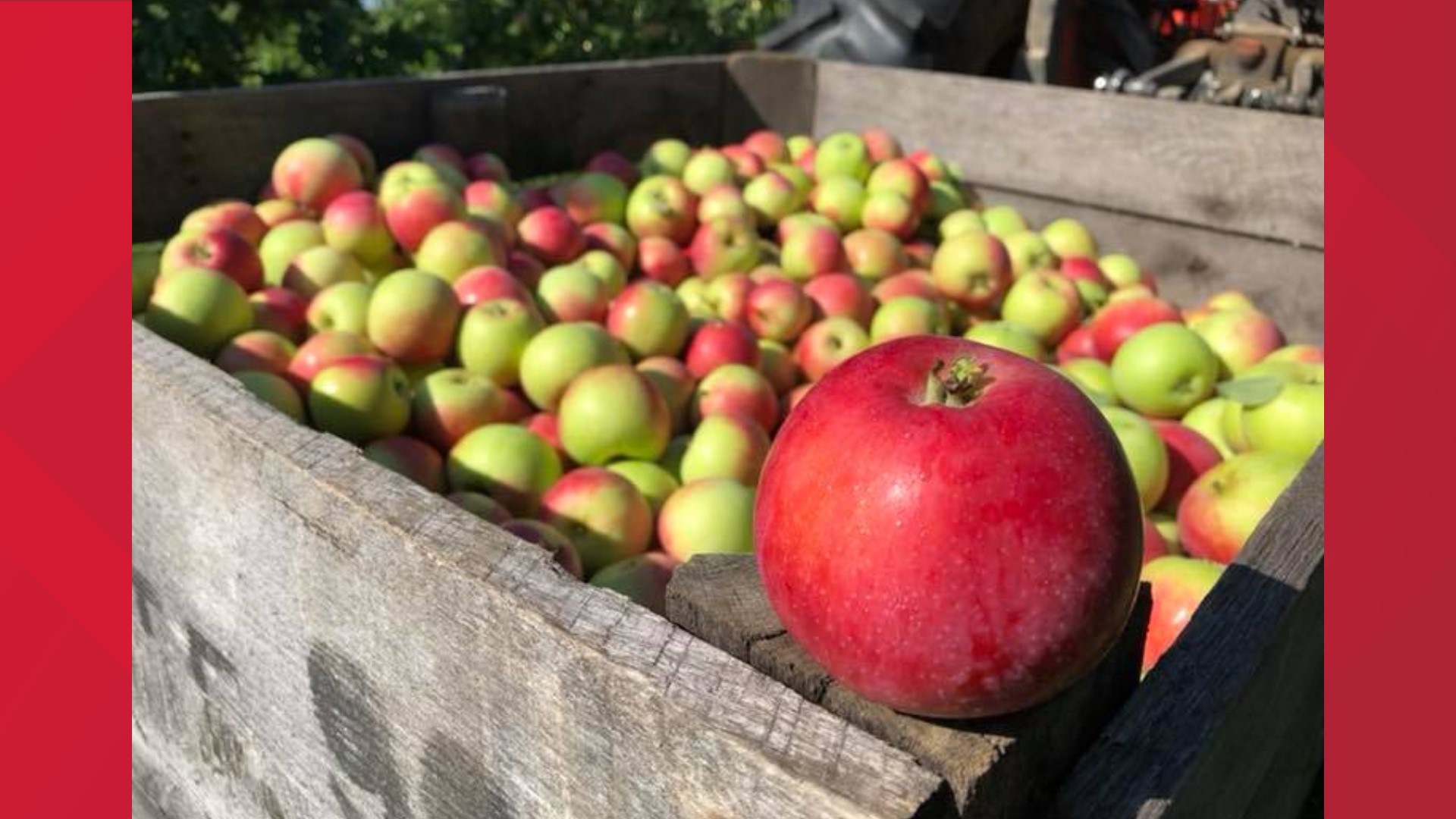 It's almost the first weekend of fall and with the new season comes hayrides, corn mazes and of course, apples! Ring in fall at Robinette's!