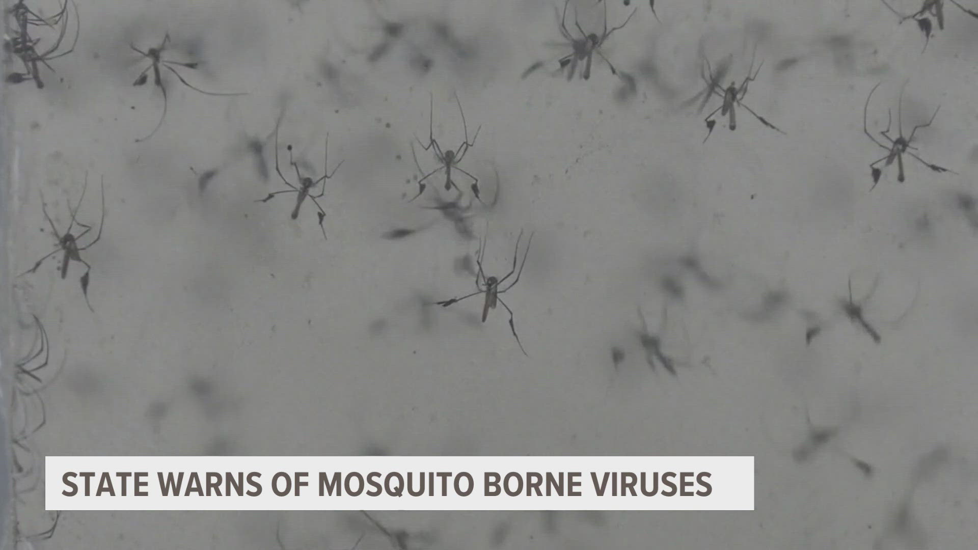 Michigan residents are being urged to take precautions against mosquito bites as mosquitos collected in Saginaw County.