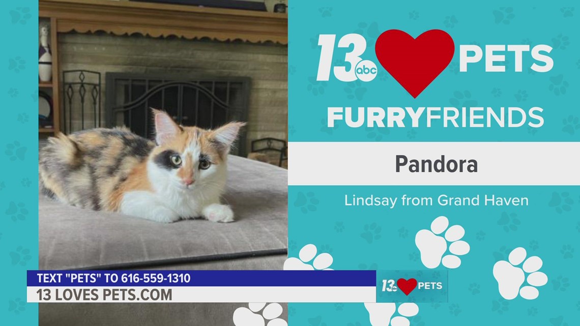 Furry Friends:  October 3, 2022 | Benny and Pandora