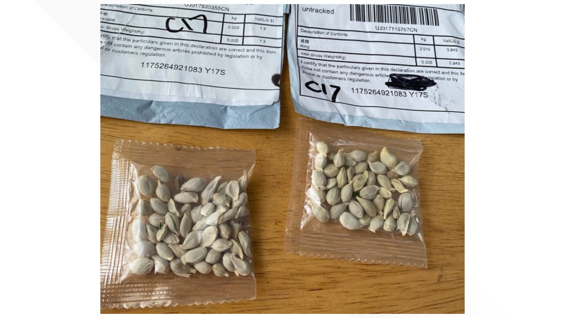 Got a package of seeds from China? Don't open it or plant them, Michigan officials say