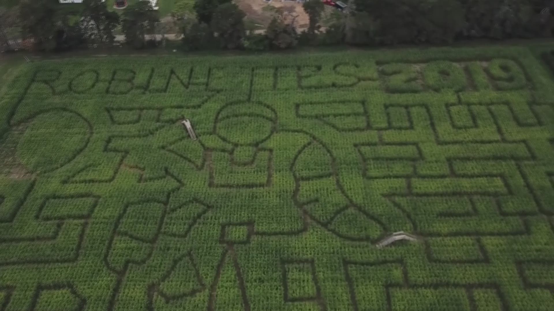 This year, the Robinette's corn maze features an astronaut in honor of the 50th anniversary of the first moon landing.