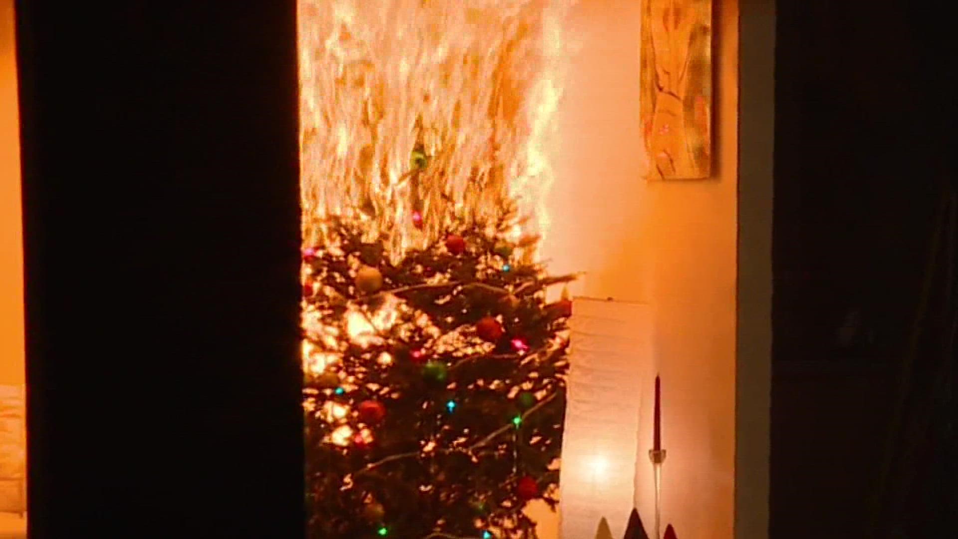 Tree-related fires lead to an estimated $13 million in property damage each year, according to the NFPA.