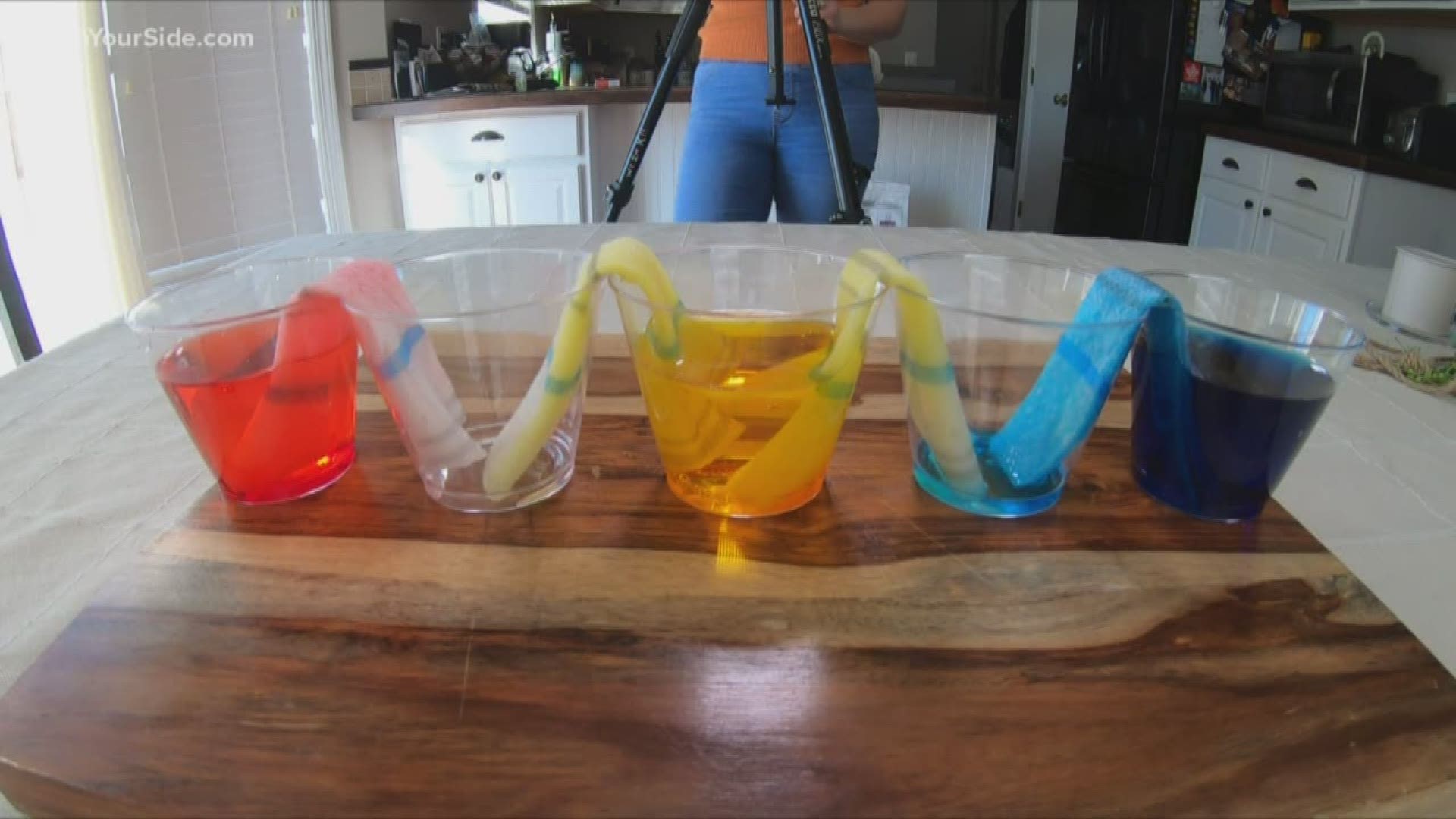 With water, paper towel and a few cups, you can watch water on the move.
