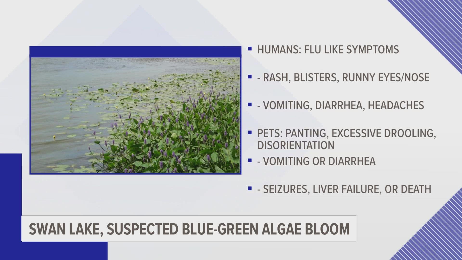 Blue-Green Algae can be dangerous to both you and your pets. Meteorologist Michael Behrens has a look at the potential symptoms.