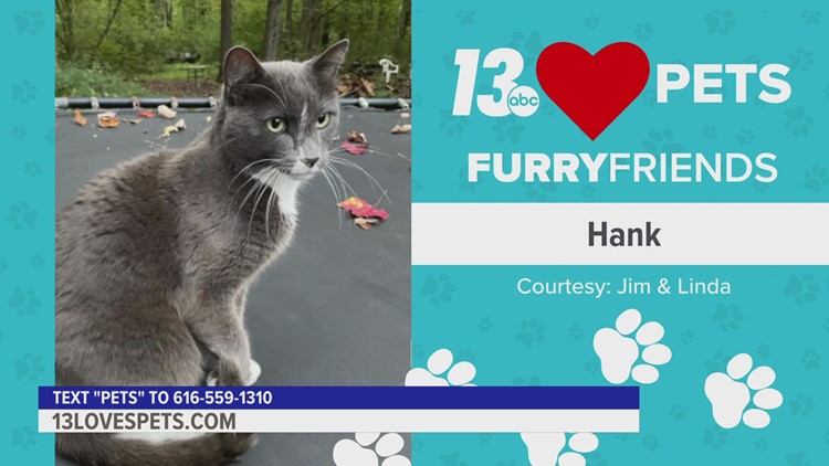 Furry Friends:  September 26, 2022 | Hank