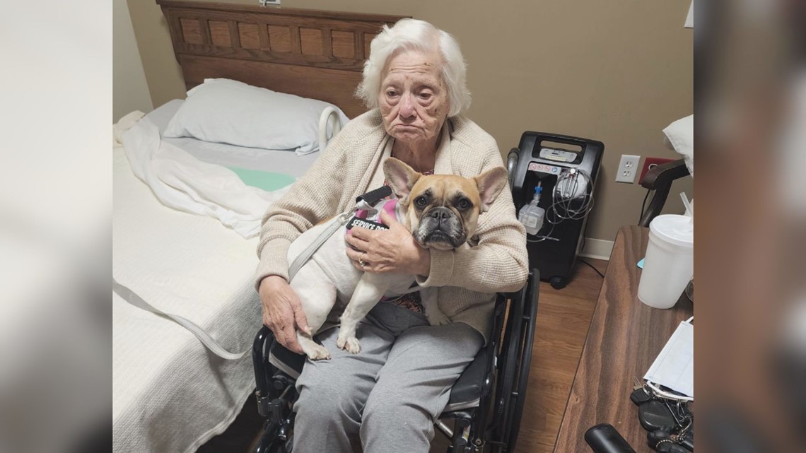 Missing French Bulldog is 101-year-old woman’s best friend
