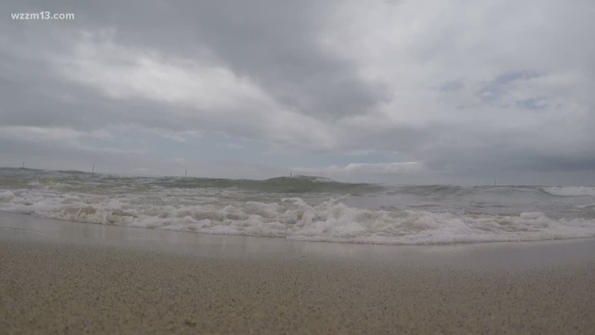 Beach cleanup at Holland State Park