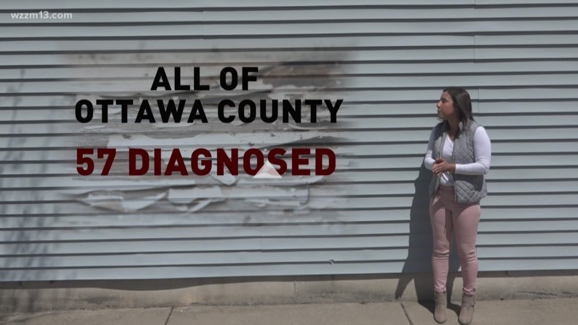 Lead Problem:Blood levels in Ottawa County