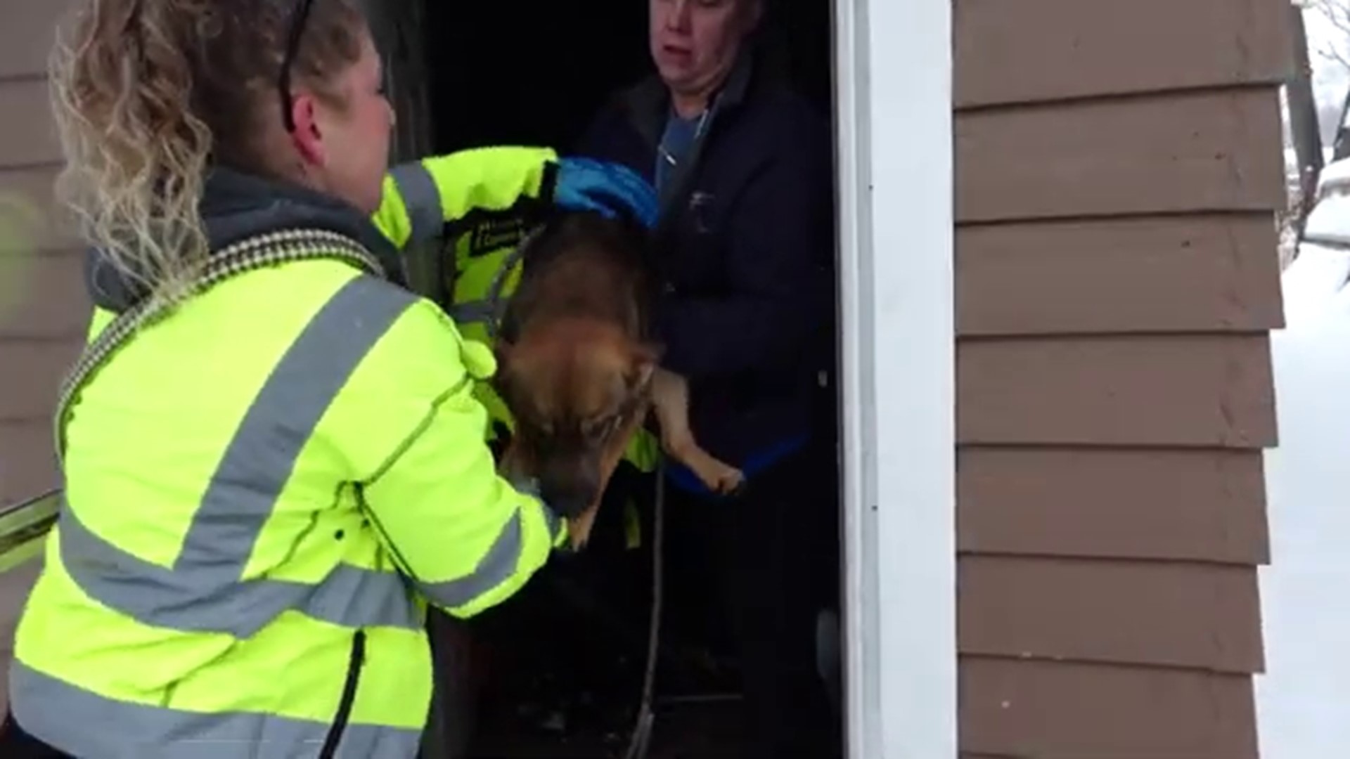 A look inside house deemed unlivable in Norton Shores animal neglect