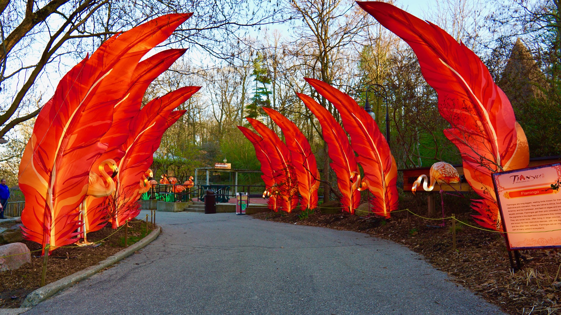 Lanterns tell a story of culture and conservation at Michigan zoo