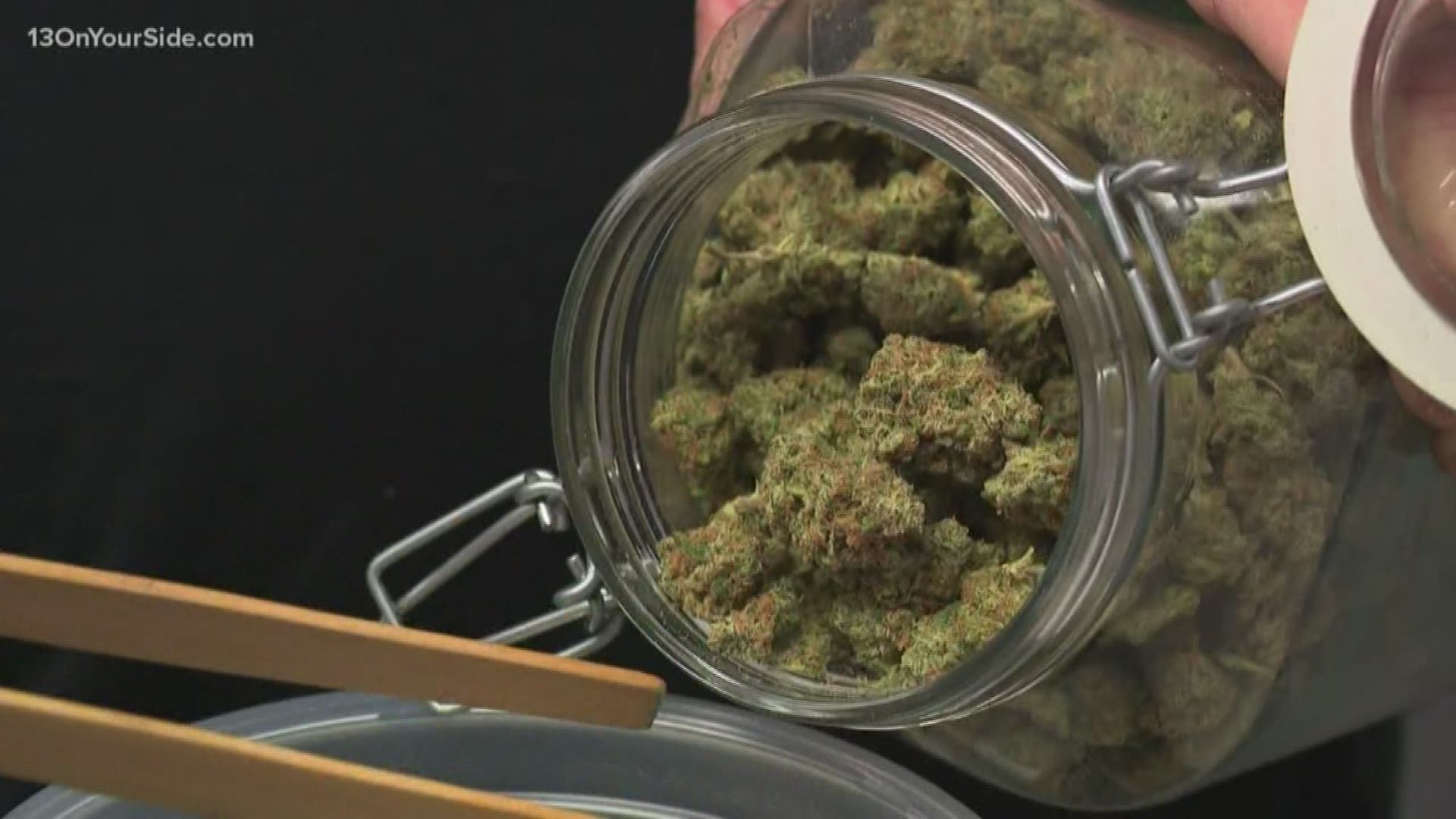 City Commissioner Senita Lenear proposed a 6 month delay on all recreational marijuana applications this week.