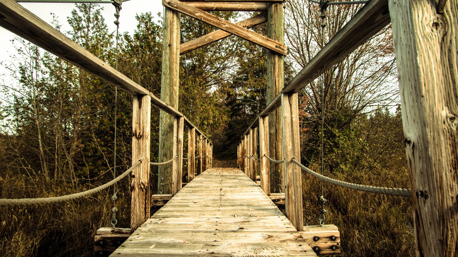 North Country National Scenic Trail becomes National Park | wzzm13.com