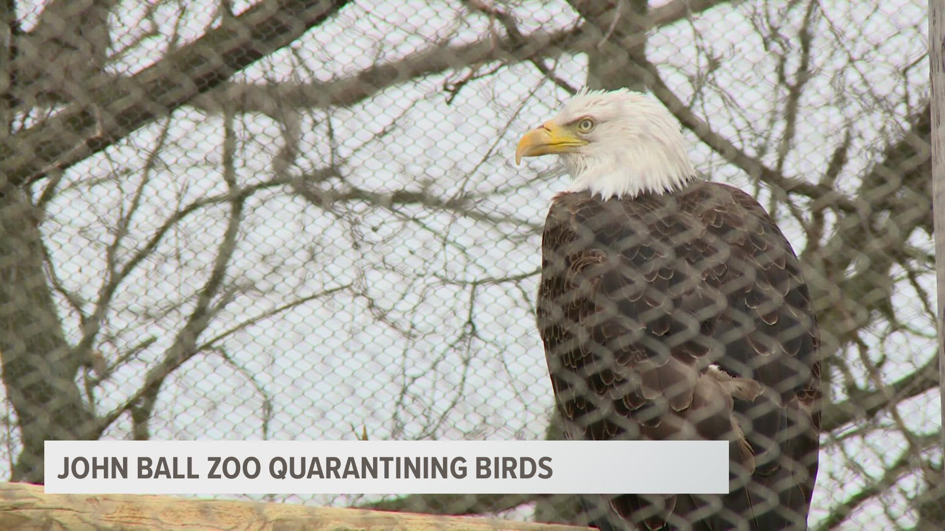 The Zoo's veterinarian is hopeful the delay won't last too long and birds will return to their outdoor exhibits soon.