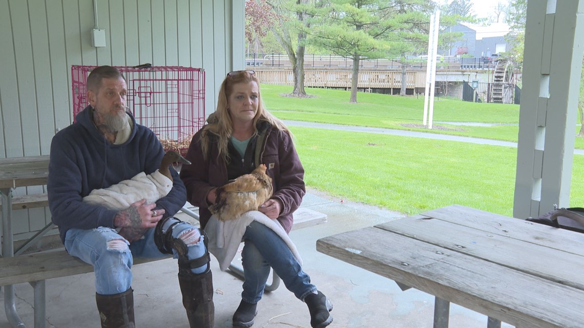 Muskegon couple responsible for dropped off puppies - Vimarsana News