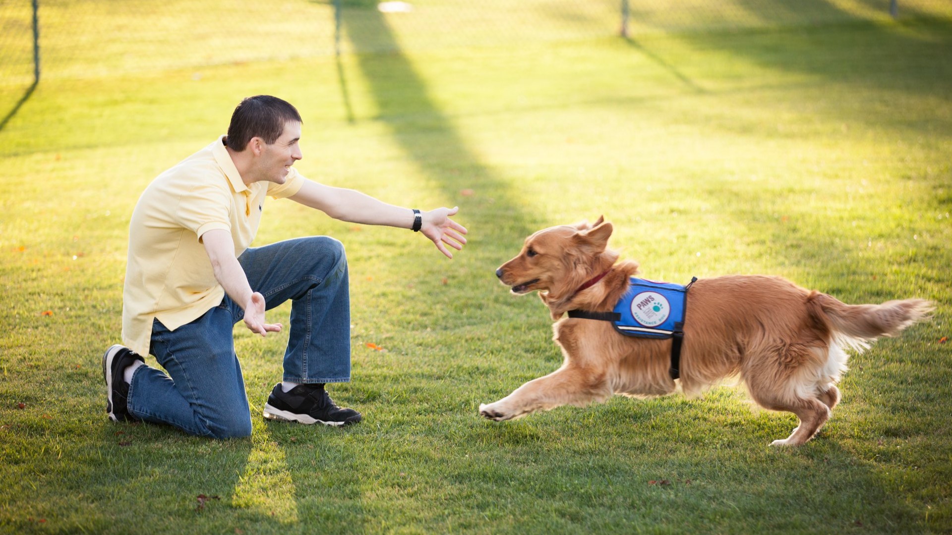 It's retriever fever time! | wzzm13.com