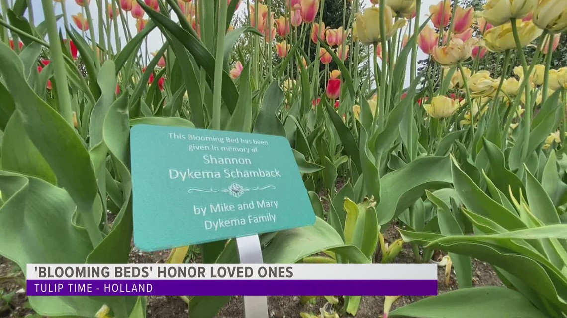 Blooming beds honor loved ones during Tulip Time