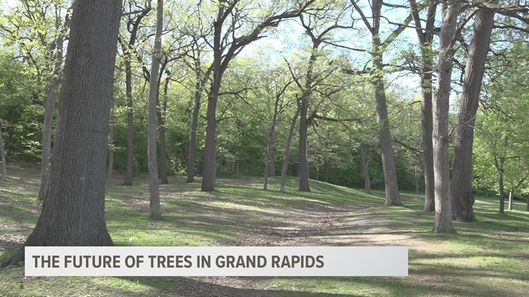 Friends of Grand Rapids Parks want to plant 10,000 trees in the city