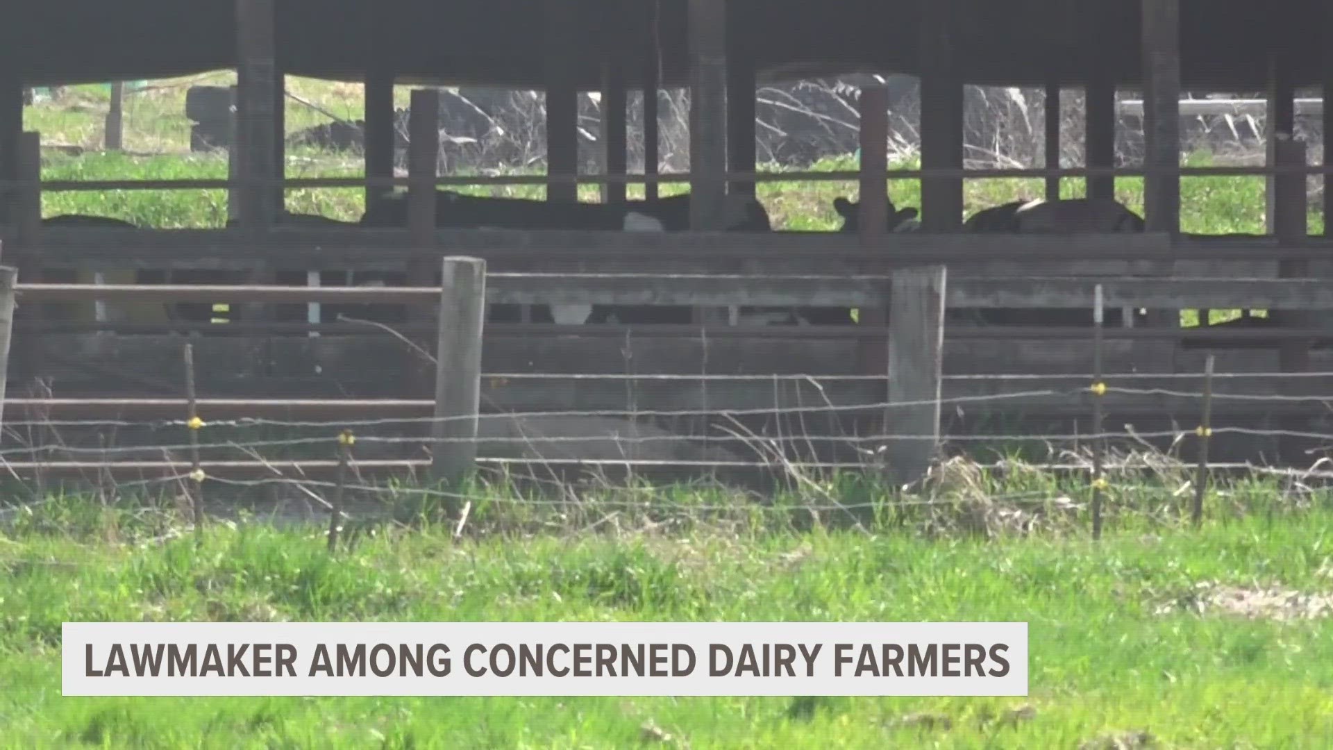 Representative Jerry Neyer, a Republican who represents Michigan's 92nd district, said they have about 20 dairy farms in the area he represents.
