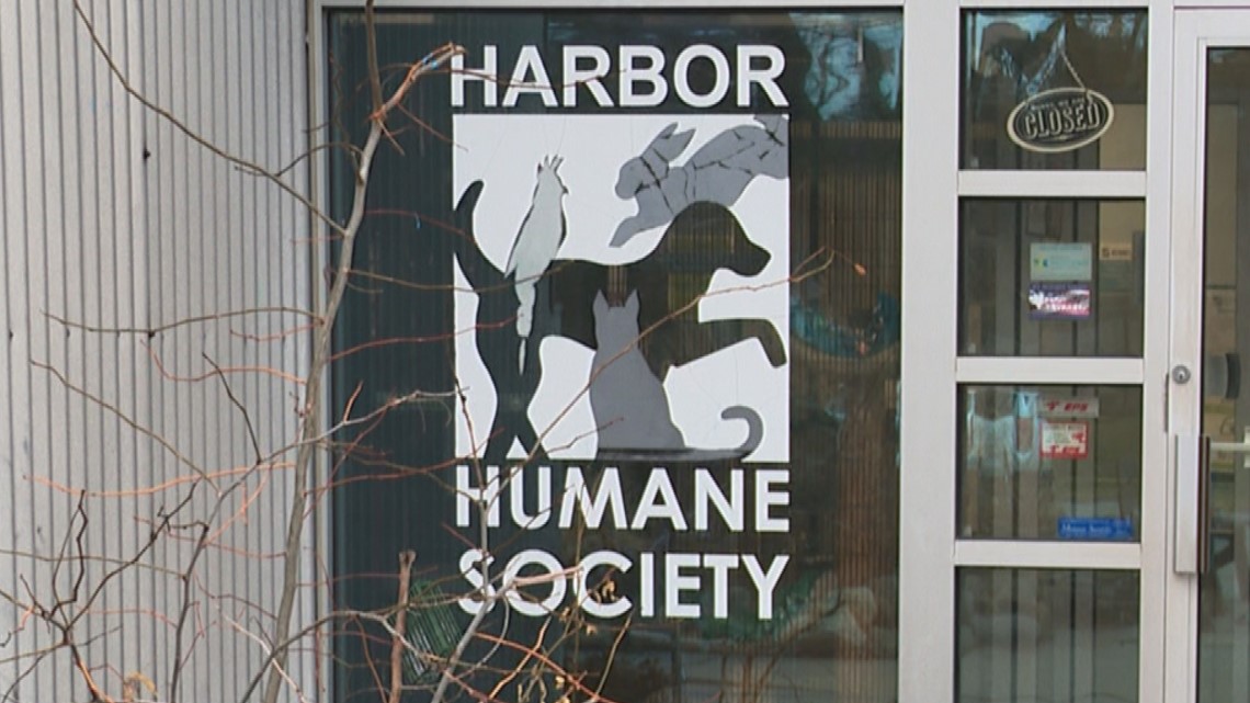 Harbor Humane Society says someone stole $10k from organization 