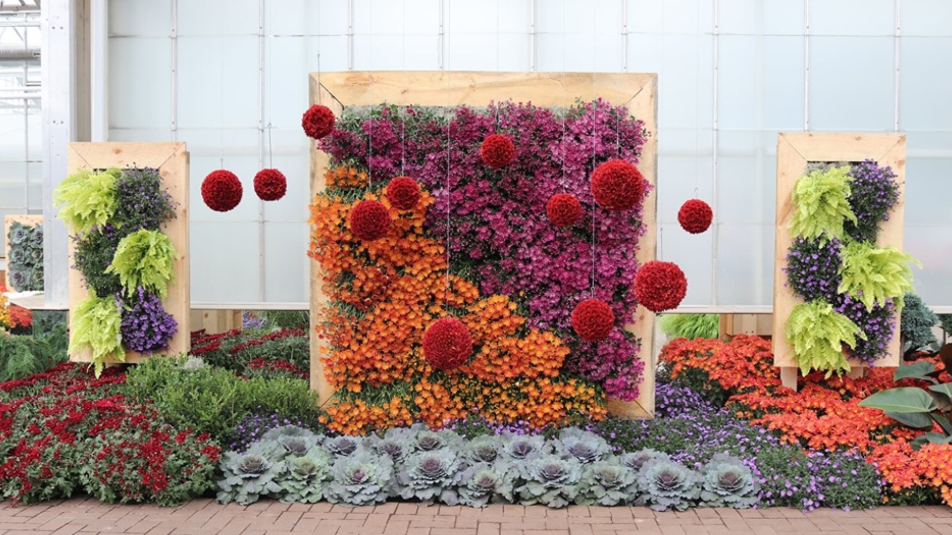 Chrysanthemums & More! exhibition explores untamed aspects of fall