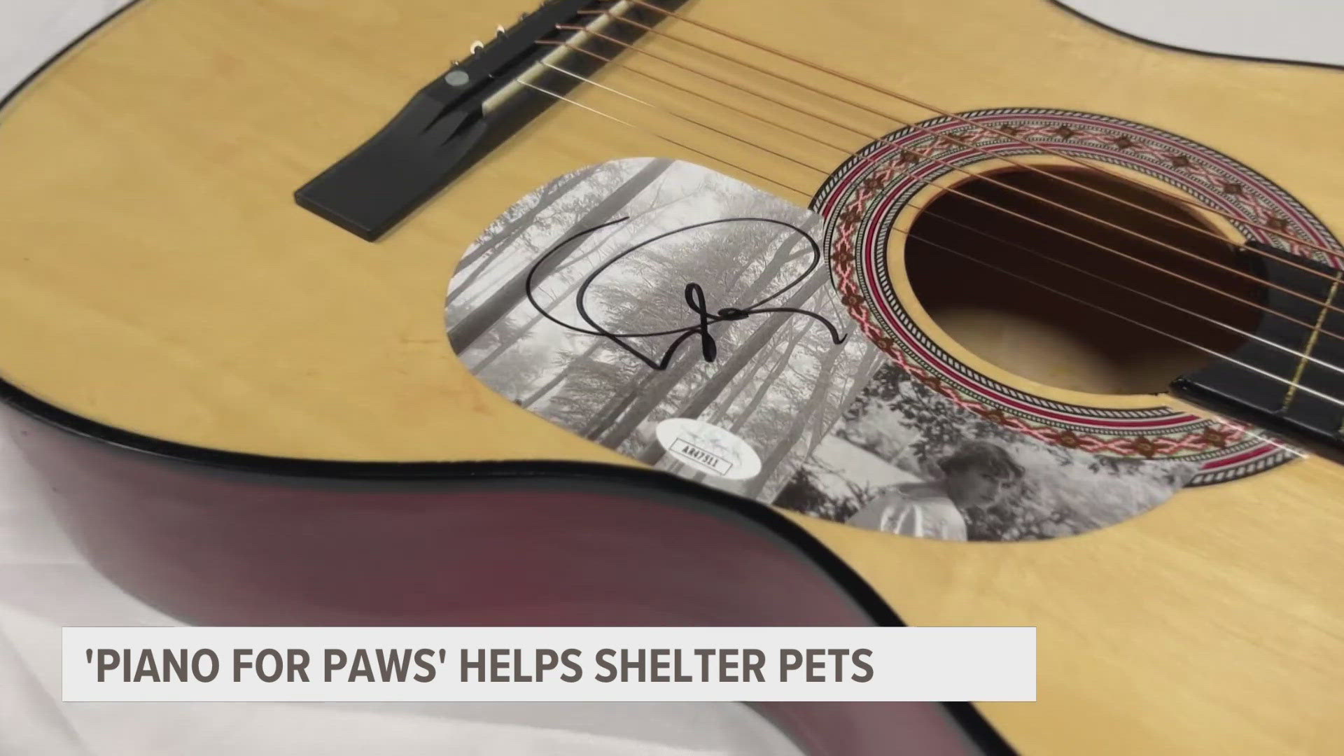 The 'Piano and Paws' event benefited the Big Lake Humane Society ahead of one of its busiest times of the year. And there's still time to help the shelter.