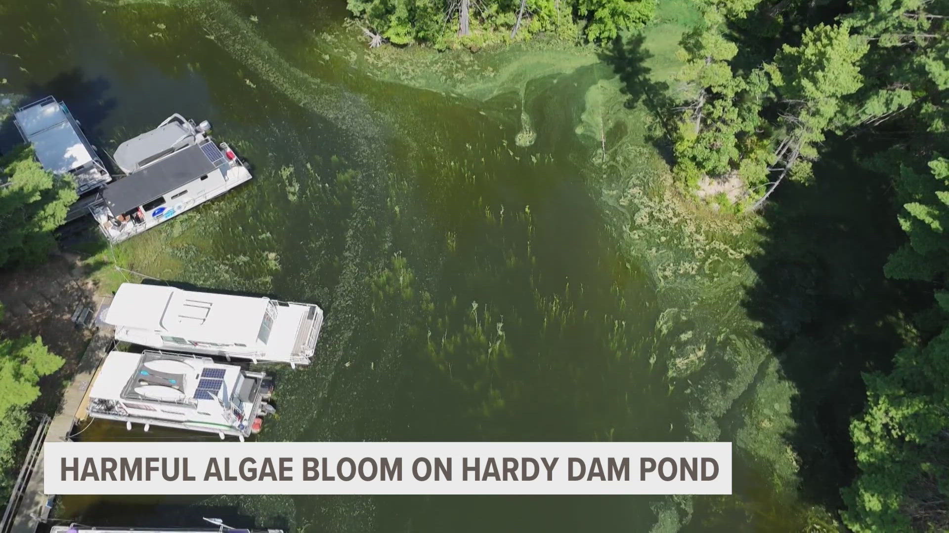 The pond is part of other water areas with blue-green algae blooms this summer.