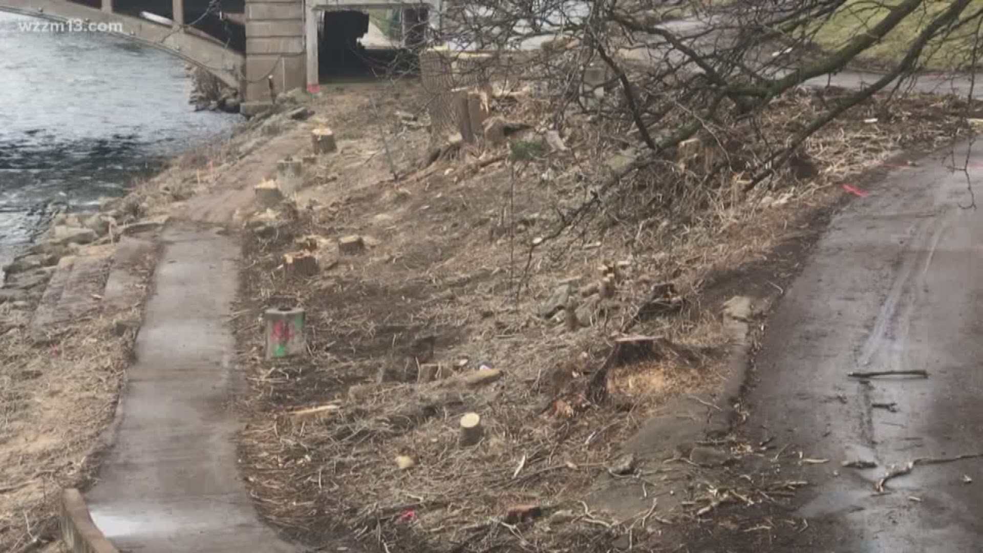 Trees removed from park for upgrades to flood wall
